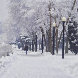 Winter Walk 